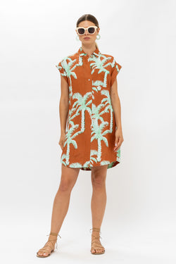 Shirt Dress Mini- Cartagena Brown – OLIPHANTDESIGN
