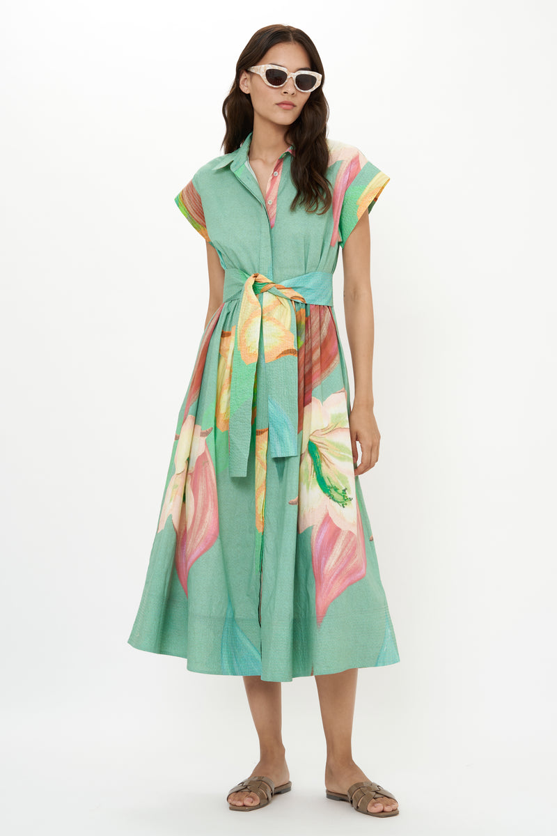 Belted Shirt Dress- Hibiscus Sage